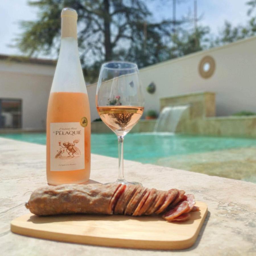 Les Logis De Cocagne Apartment Saint-Remy-de-Provence Ngoại thất bức ảnh